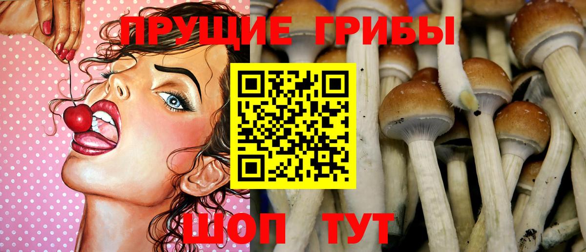 Псилоцибиновые грибы Magic Shrooms  Вход с VPN  Галлюциногенные грибы GOLDEN TEACHER  Энгельс 