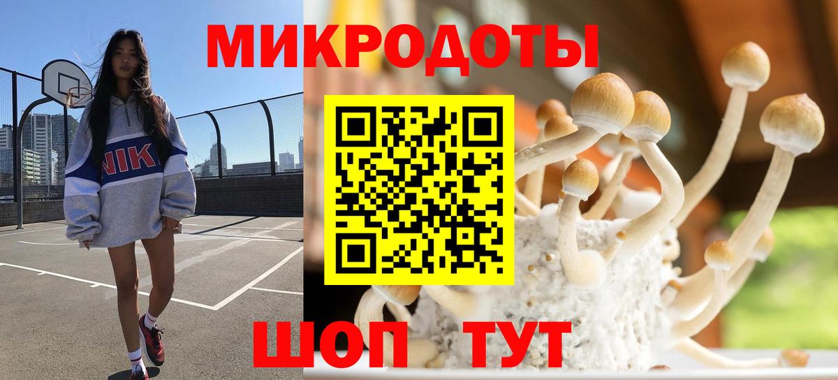 Галлюциногенные грибы GOLDEN TEACHER Энгельс